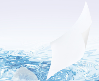 濕廁紙2.png